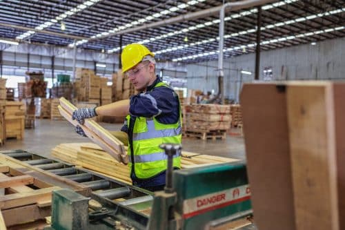 Man assessing wood in pallet manufacturing place