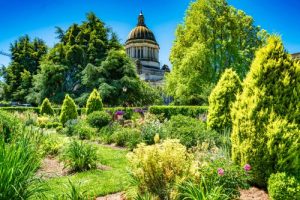 A view of the dome at the Washington State Capitol and the Sunken Garden.